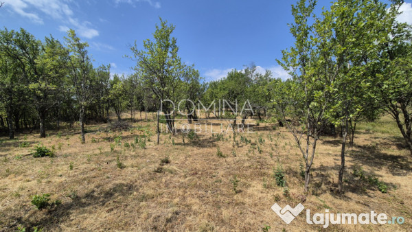 Proprietate în apropiere de complex turistic Mușetești 