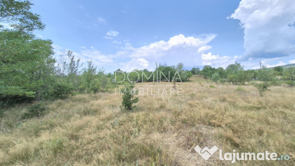 Proprietate în apropiere de complex turistic Mușetești 