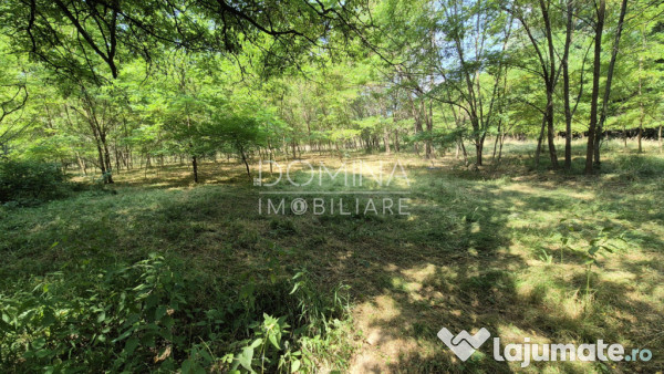Proprietate în apropiere de complex turistic Mușetești 