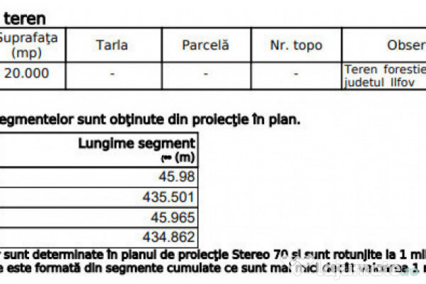 Raritate absolută: Teren 20.000 mp în inima Padurii Bănea