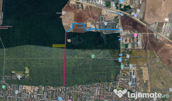 Raritate absolută: Teren 20.000 mp în inima Padurii Bănea