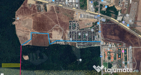 Raritate absolută: Teren 20.000 mp în inima Padurii Bănea