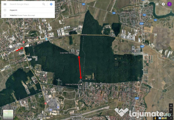 Raritate absolută: Teren 20.000 mp în inima Padurii Bănea