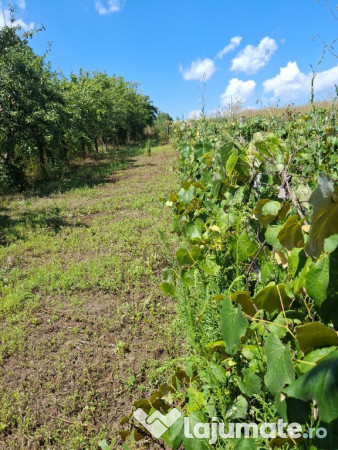 Casă, teren și anexe. În Botoșani, Unțeni, Burlești.