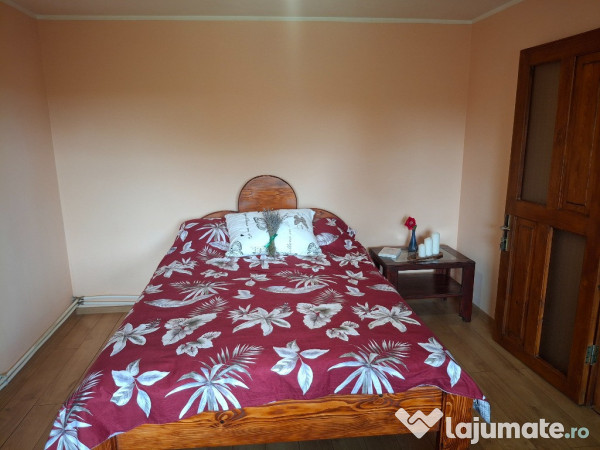 Casă, teren și anexe. În Botoșani, Unțeni, Burlești.