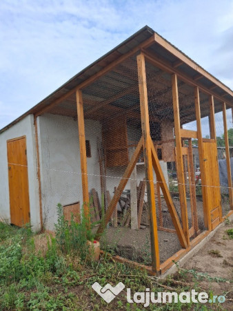 Casă, teren și anexe. În Botoșani, Unțeni, Burlești.