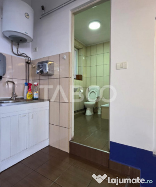 Spatiu industrial de 300 mp de inchiriat in Sebes Alba