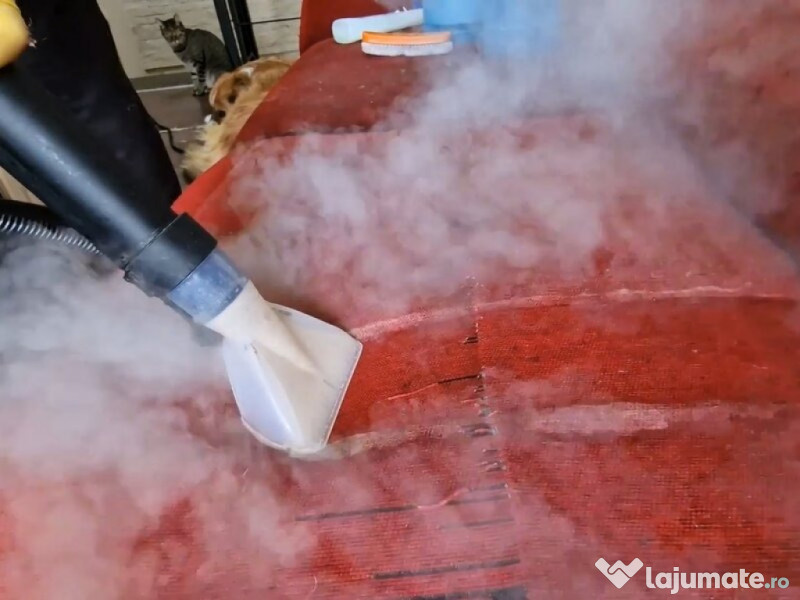 Curatare Tapiterie Canapele Saltele Cu Aburi Oradea La Domiciliu