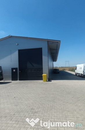 Module hale 120/240/360/480 mp Ciorogarla Autostrada +bir... 