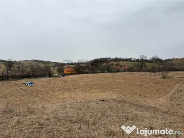 RECO , teren intravilan in Tomnatic, Vadu Crisului 