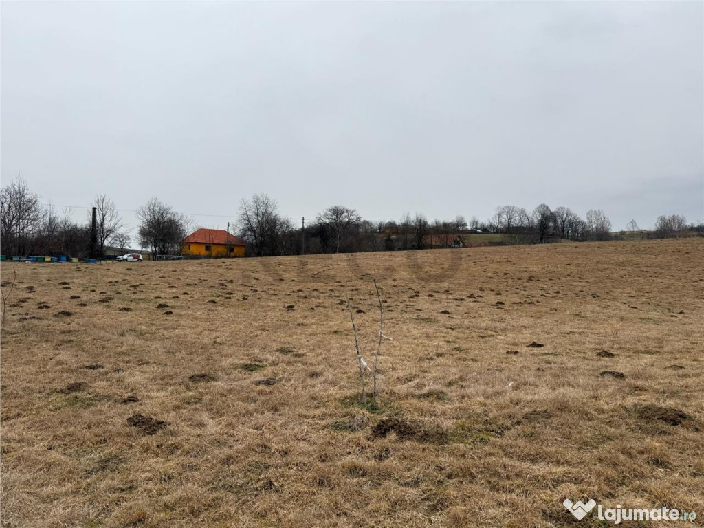 RECO , teren intravilan in Tomnatic, Vadu Crisului 