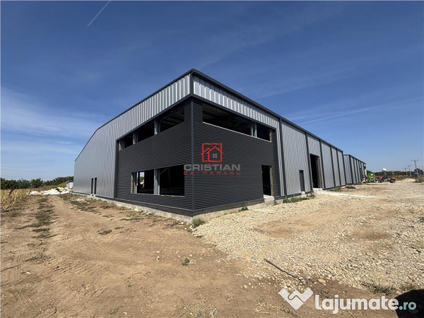 Depozit/hala/spatiu industrial Mogosoaia - Buftea 