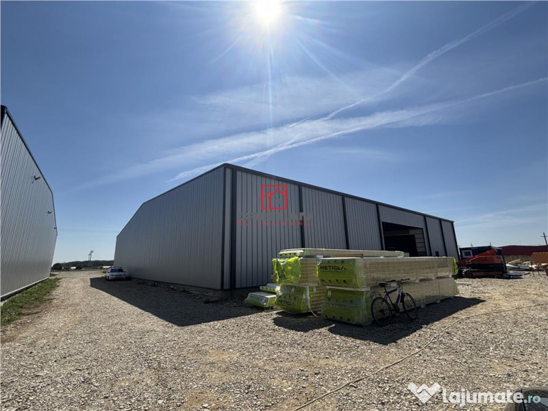 Depozit/hala/spatiu industrial Mogosoaia - Buftea 