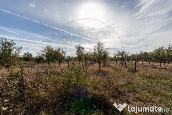 Teren 2.847 mp in comuna Cuca, AG 