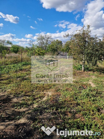 Inchiriere casa comuna 1 decembrie 