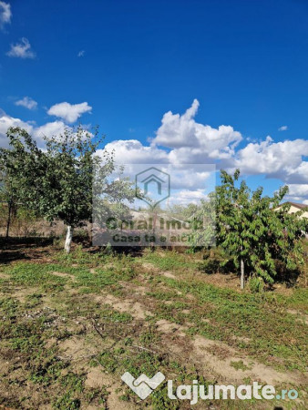 Inchiriere casa comuna 1 decembrie 