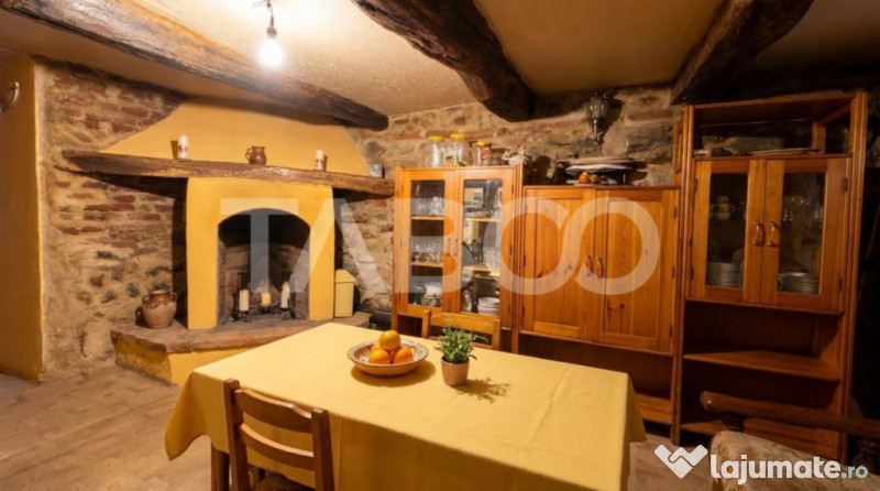 Casa de vanzare cu curte spatioasa loc relaxare si gradina C