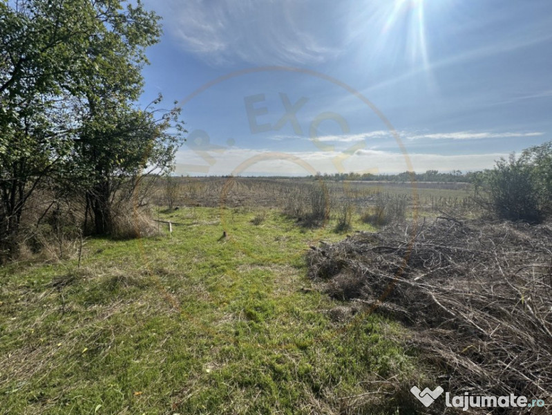 Teren 5216 mp la 2 pasi de autostrada A1 - com. Ratesti 