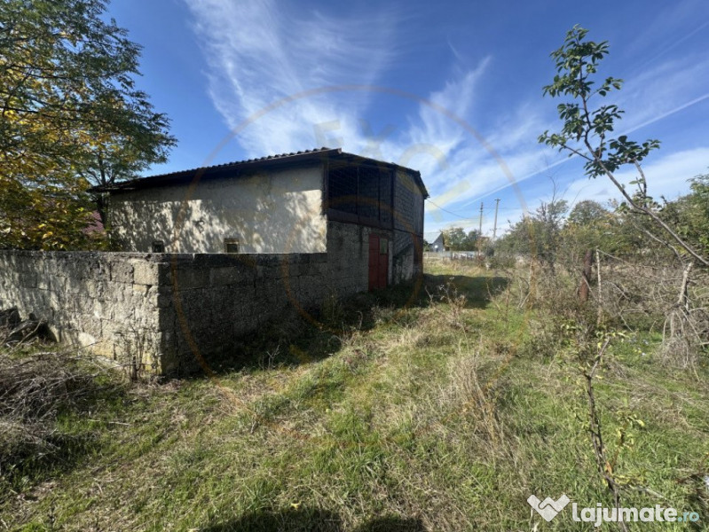 Teren 5216 mp la 2 pasi de autostrada A1 - com. Ratesti 