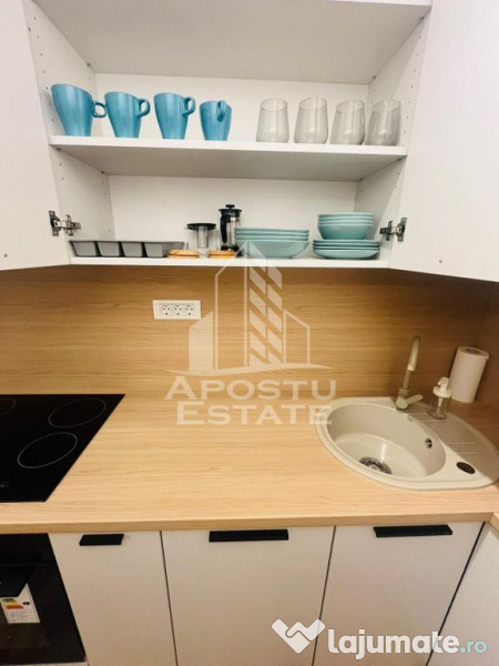 Apartament modern cu o camere, Take Ionescu la 5 minute d...
