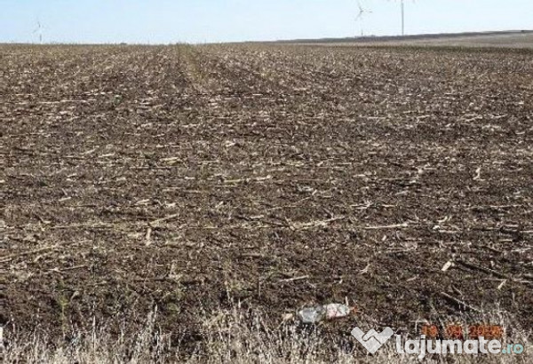 Teren extravilna Cota parte 1/16, CObadin, ID: R2782865 