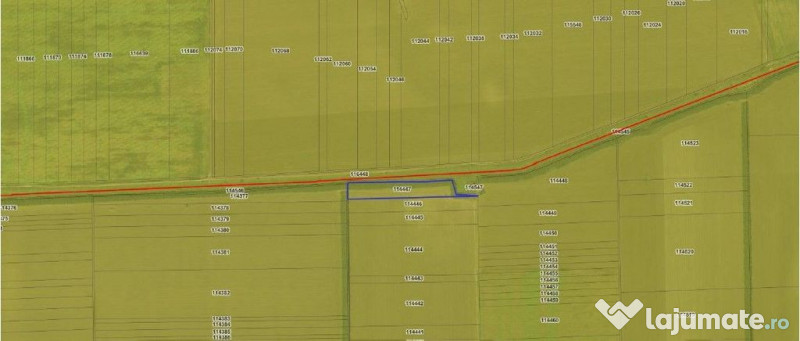 Teren extravilna Cota parte 1/16, CObadin, ID: R2782865 