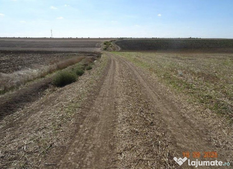 Teren extravilna Cota parte 1/16, CObadin, ID: R2782865 