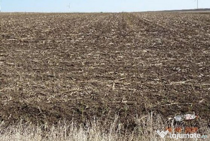 Teren extravilna Cota parte 1/16, CObadin, ID: R2782865 