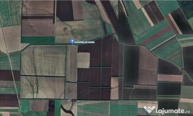 Teren extravilna Cota parte 1/16, CObadin, ID: R2782865 