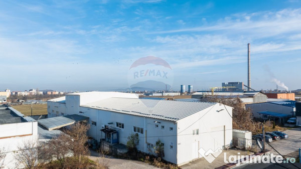 Hala industrială – investiție stabilă sau potențial...