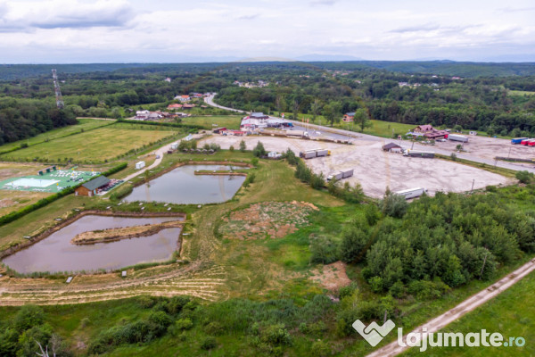 Afacere multifuncțională cu venituri imediate si potenția 