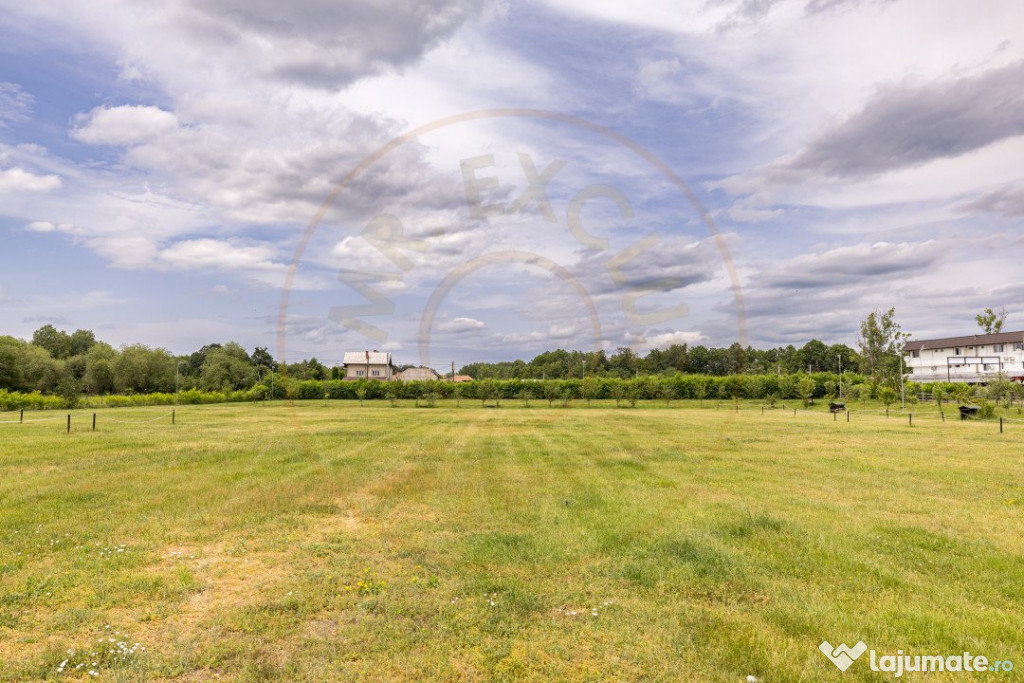 Afacere multifuncțională cu venituri imediate si potenția 