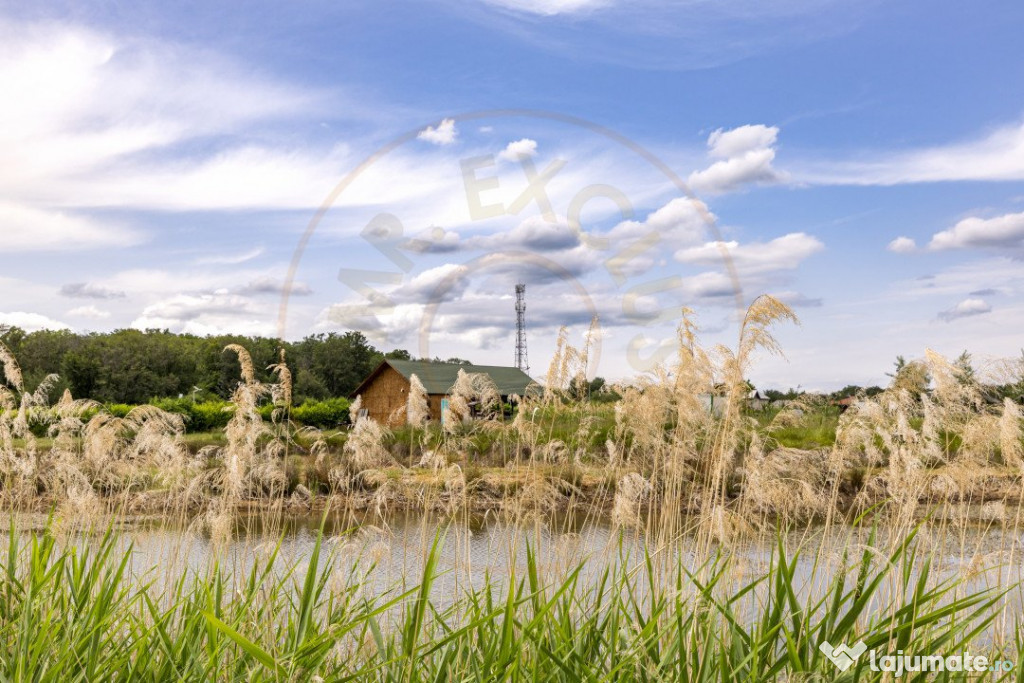 Afacere multifuncțională cu venituri imediate si potenția 