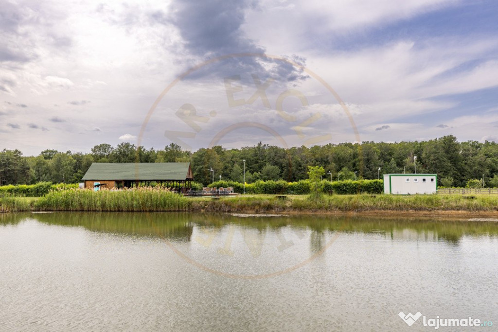 Afacere multifuncțională cu venituri imediate si potenția 