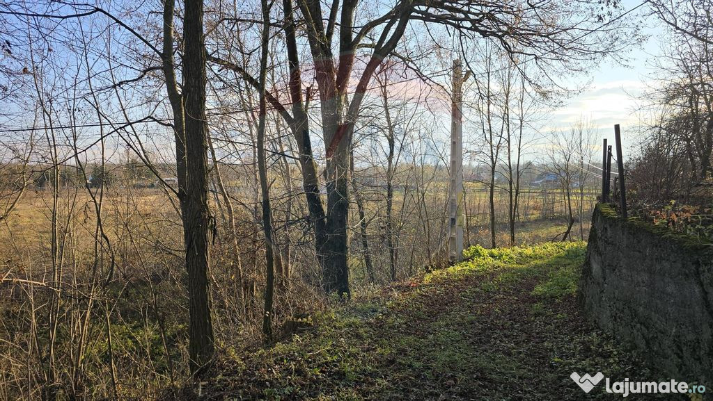 Teren de vanzare in Fratautii Noi / Strada Dealului