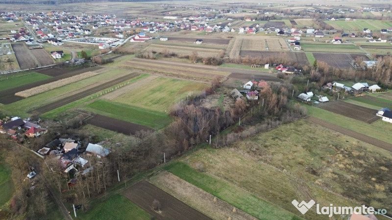 Teren de vanzare in Fratautii Noi / Strada Dealului