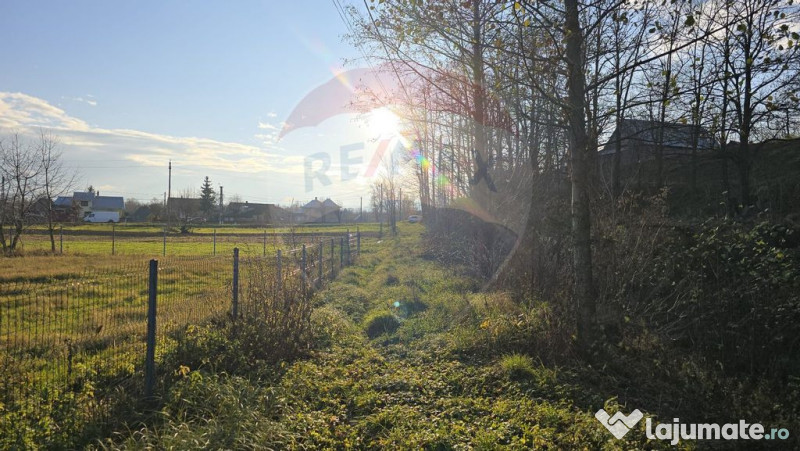 Teren de vanzare in Fratautii Noi / Strada Dealului