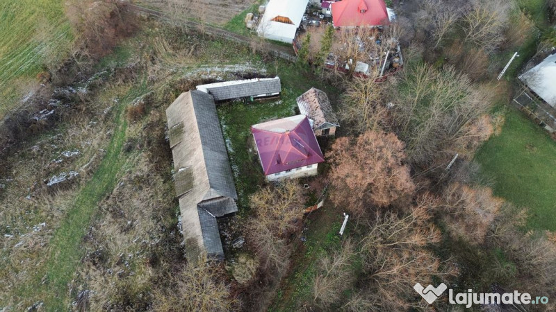 Teren de vanzare in Fratautii Noi / Strada Dealului