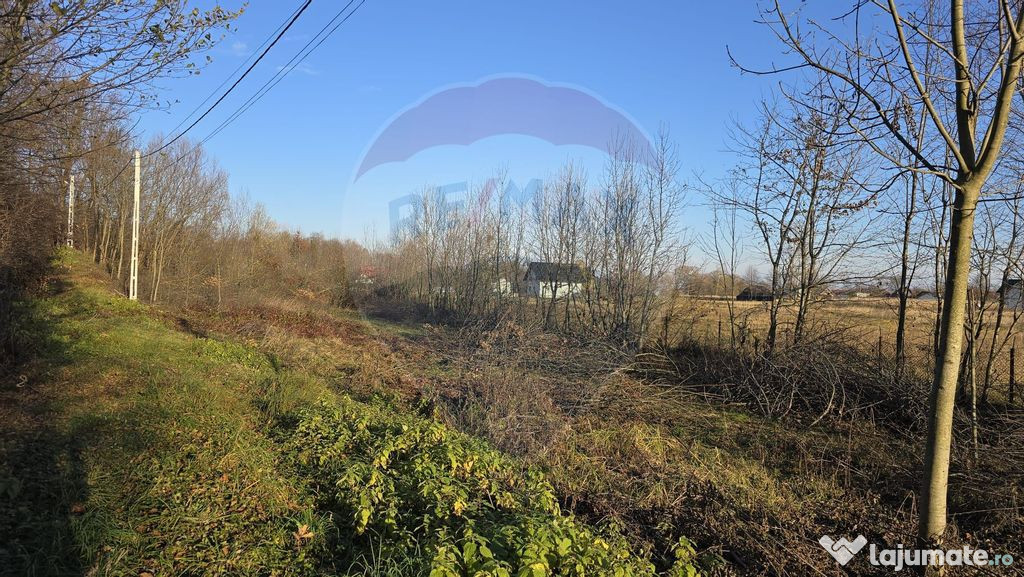 Teren de vanzare in Fratautii Noi / Strada Dealului
