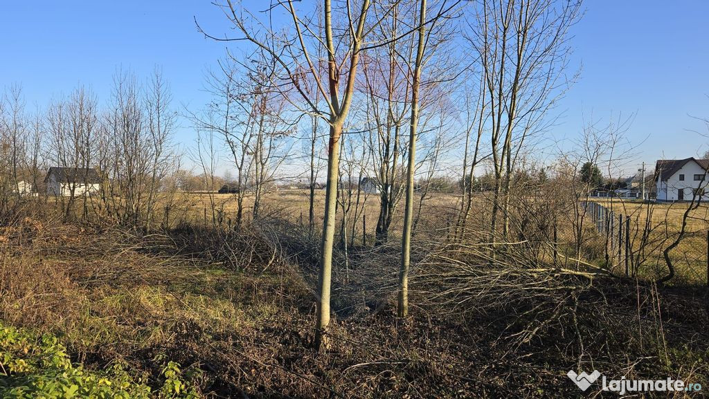 Teren de vanzare in Fratautii Noi / Strada Dealului