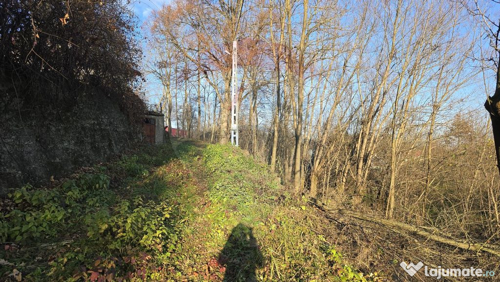 Teren de vanzare in Fratautii Noi / Strada Dealului