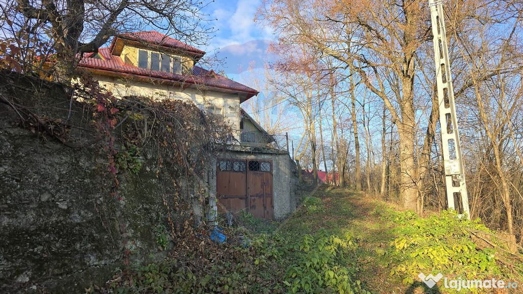 Teren de vanzare in Fratautii Noi / Strada Dealului