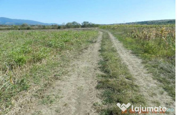 Teren extravilan arabil, situat in Oravita, Jud Caras-Sev...