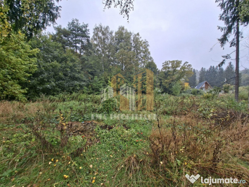 Teren intravilan cartier Noua Brasov 