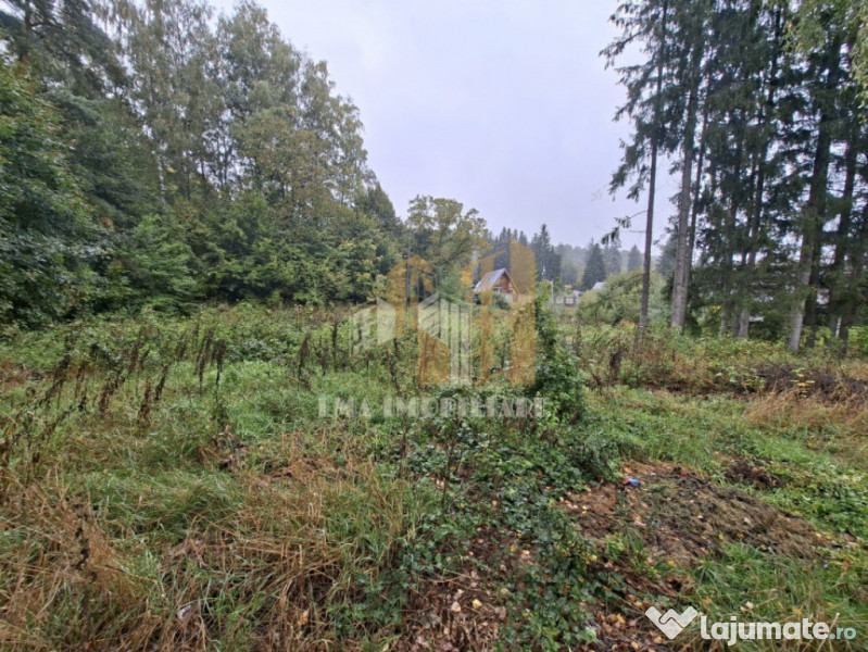 Teren intravilan cartier Noua Brasov 