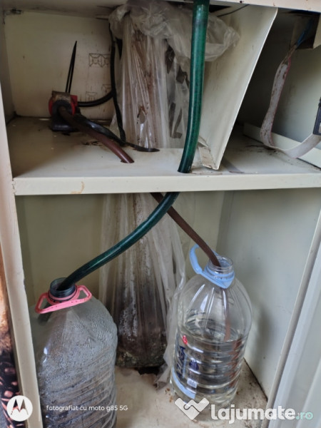 Aparat de cafea Zanussi brio boabe 