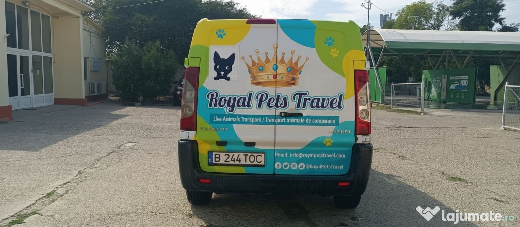 Transport autorizat animale de companie România–Europa 