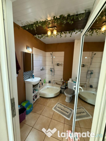 Casa, Dragomiresti-Vale 