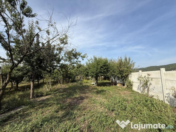 Casa Copacelu Valcea P+1+M