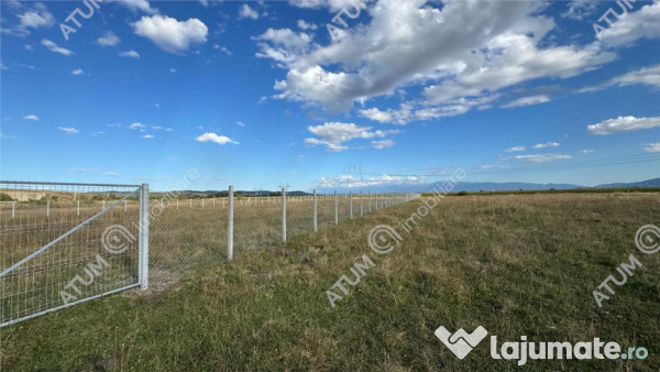Teren 4200 mp situat in extravilanul zona Calea Surii Mici S